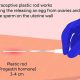 Implant & Finishing: Can He Finish In You? | Best Final Touch: Elevate Your Projects with Professional Finishing