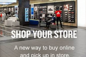 Your Finish Line Waterbury CT: Shoes, Deals & More! | Best Final Touch: Elevate Your Projects with Professional Finishing