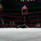Sumo Showdown: Mastering the Rikishi Finishing Move | Best Final Touch: Elevate Your Projects with Professional Finishing