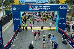 Your Finish Line Monroe LA | Shoes & More | Best Final Touch: Elevate Your Projects with Professional Finishing