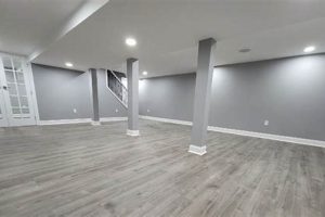 Windsor Basement Finishing Experts: Ideas & Cost Best Final Touch: Elevate Your Projects with Professional Finishing Windsor Basement Finishing Experts: Ideas & Cost | Best Final Touch: Elevate Your Projects with Professional Finishing