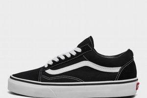 Rent Finish Line Vans: Mobile Retail Solutions Near You Best Final Touch: Elevate Your Projects with Professional Finishing Rent Finish Line Vans: Mobile Retail Solutions Near You | Best Final Touch: Elevate Your Projects with Professional Finishing