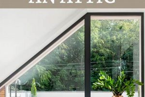 Attic Finishing: Cost & Ideas to Finish an Attic | Best Final Touch: Elevate Your Projects with Professional Finishing