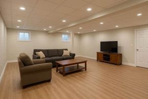 Transform Your Basement: Finishing Kansas City Spaces | Best Final Touch: Elevate Your Projects with Professional Finishing