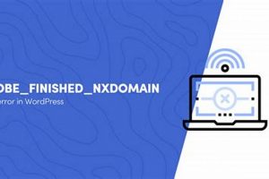 Fix: rule 34 dns_probe_finished_nxdomain Error Resolved | Best Final Touch: Elevate Your Projects with Professional Finishing