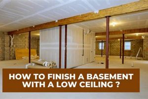 Tips: How to Finish a Small Basement with Low Ceilings (Smart!) | Best Final Touch: Elevate Your Projects with Professional Finishing