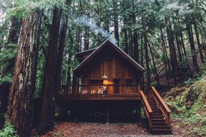 Find: Rent to Own Cabins Near You! Deals & Options Best Final Touch: Elevate Your Projects with Professional Finishing Find: Rent to Own Cabins Near You! Deals & Options | Best Final Touch: Elevate Your Projects with Professional Finishing