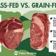 Grass-Fed vs. Grass-Finished: The Key Difference? | Best Final Touch: Elevate Your Projects with Professional Finishing