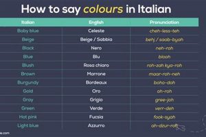 Italian Finish: How to Say "Finish" in Italian? (Guide) Best Final Touch: Elevate Your Projects with Professional Finishing Italian Finish: How to Say "Finish" in Italian? (Guide) | Best Final Touch: Elevate Your Projects with Professional Finishing
