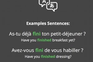 French Finishing: How to Say "Finished" in French | Best Final Touch: Elevate Your Projects with Professional Finishing