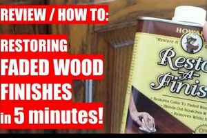 Wood's TV Finish Restorer: Restore, Shine & Protect | Best Final Touch: Elevate Your Projects with Professional Finishing