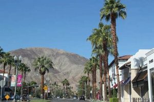 Find Finish Line Palm Desert, CA: Your Athletic Shoe Spot! | Best Final Touch: Elevate Your Projects with Professional Finishing