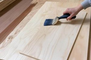Pro Tips for Finishing Plywood: A Complete Guide | Best Final Touch: Elevate Your Projects with Professional Finishing